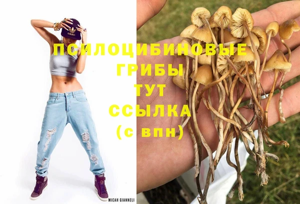 твердый Медвежьегорск