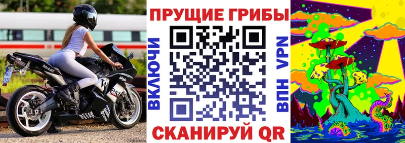 Купить закладки  Новоаннинский  Псилоцибиновые грибы мухоморы 